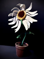 LA MARGUERITE