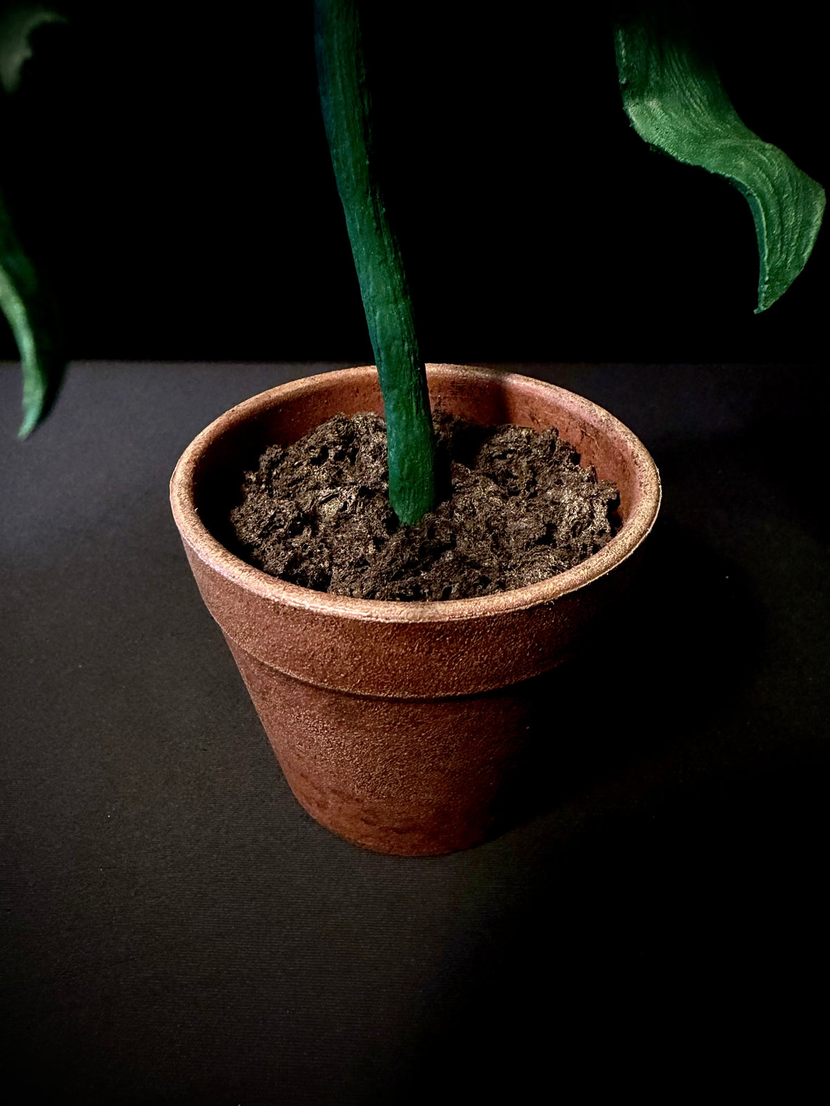 LA MARGUERITE