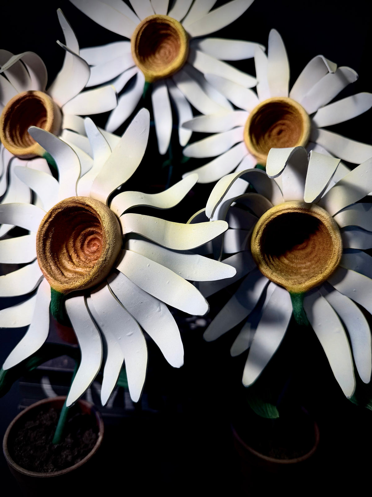 LA MARGUERITE