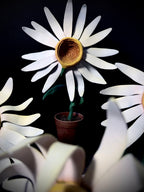 LA MARGUERITE