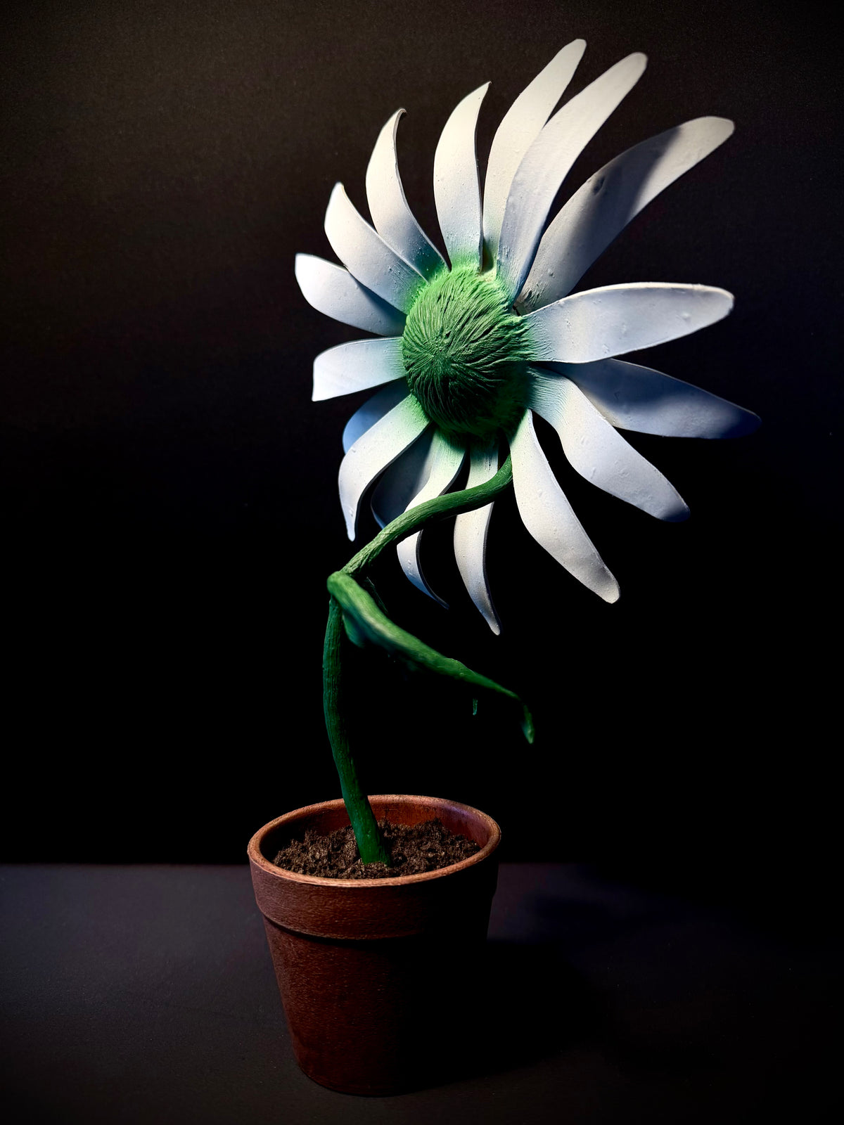 LA MARGUERITE