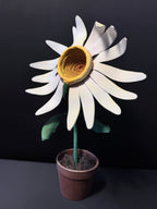 LA MARGUERITE