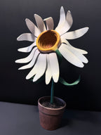 LA MARGUERITE