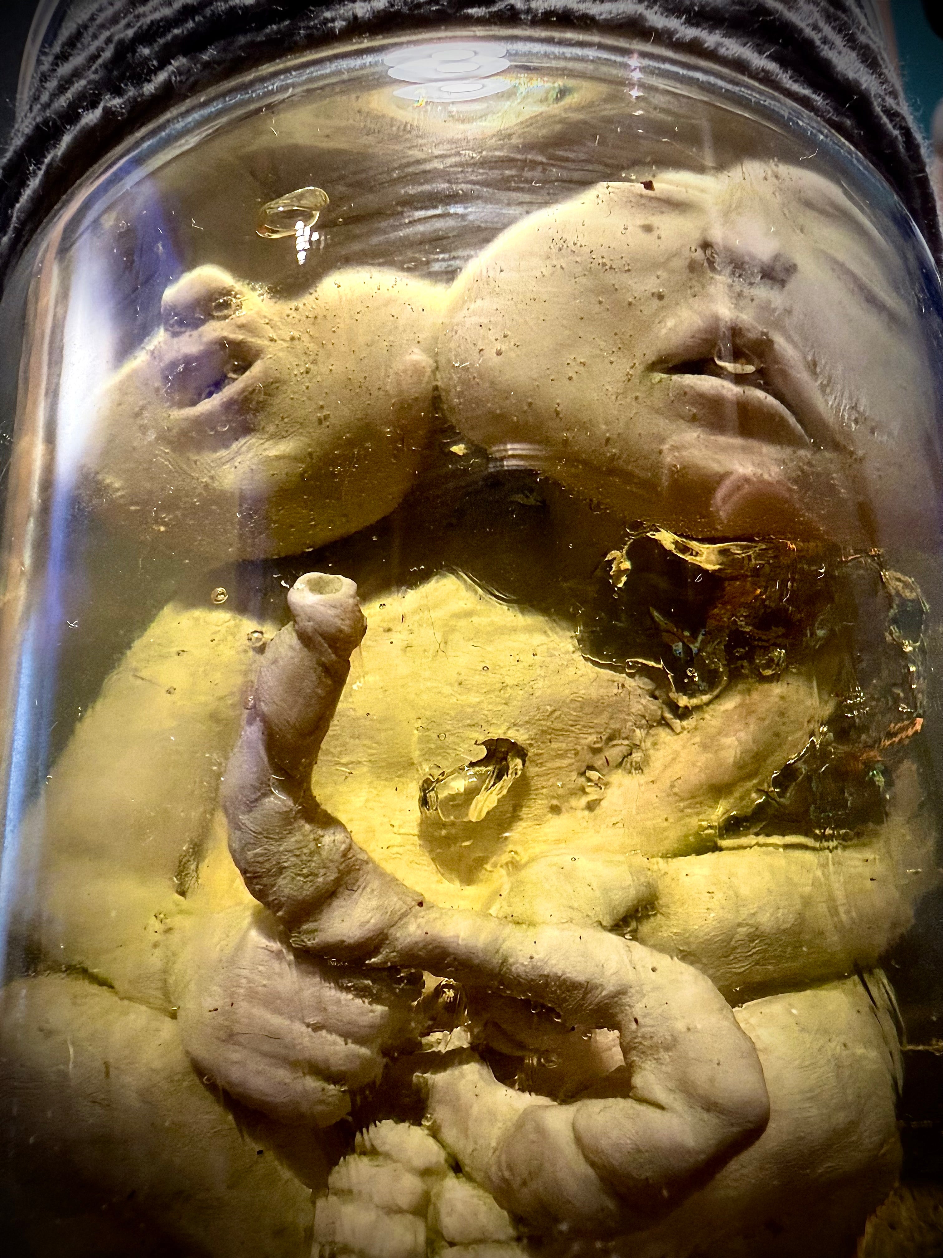 DEVIS POUR UNE FIGURINE SUR MESURE